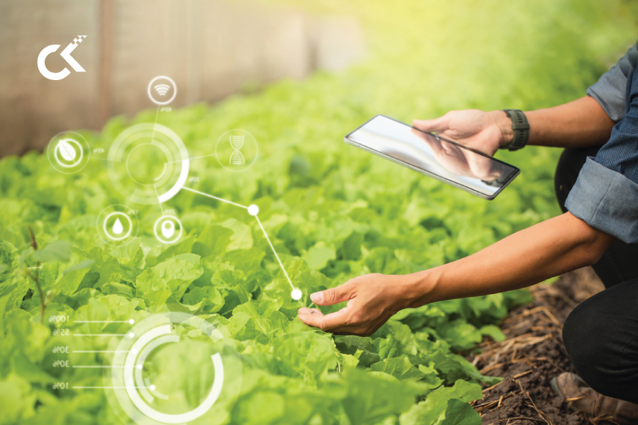 Google Cloud Backup & Disaster Recovery For A Leading Agricultural Products Manufacturer